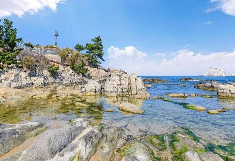 Goseong Jajackdo Aroma Pension