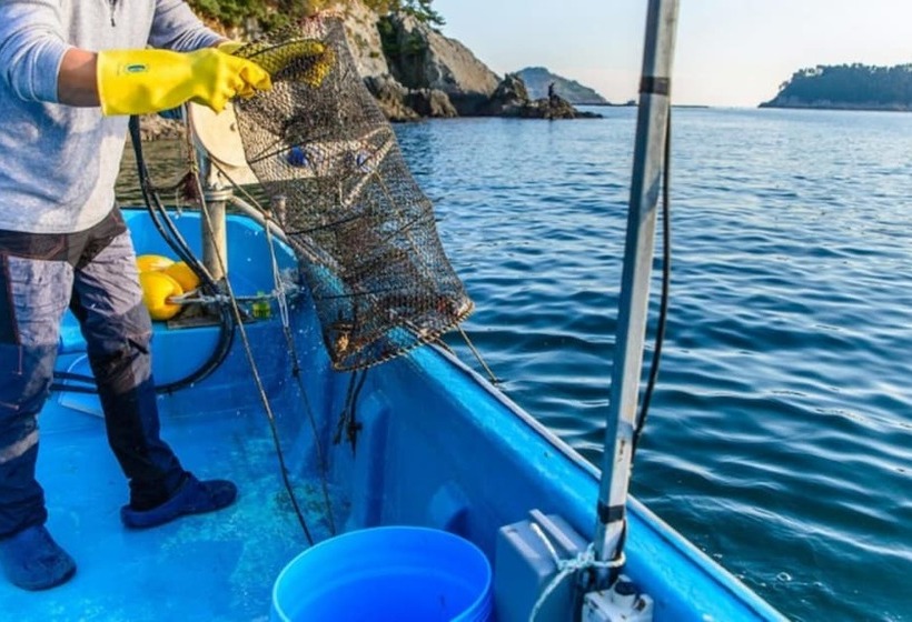 Goseong Jajackdo Aroma Pension