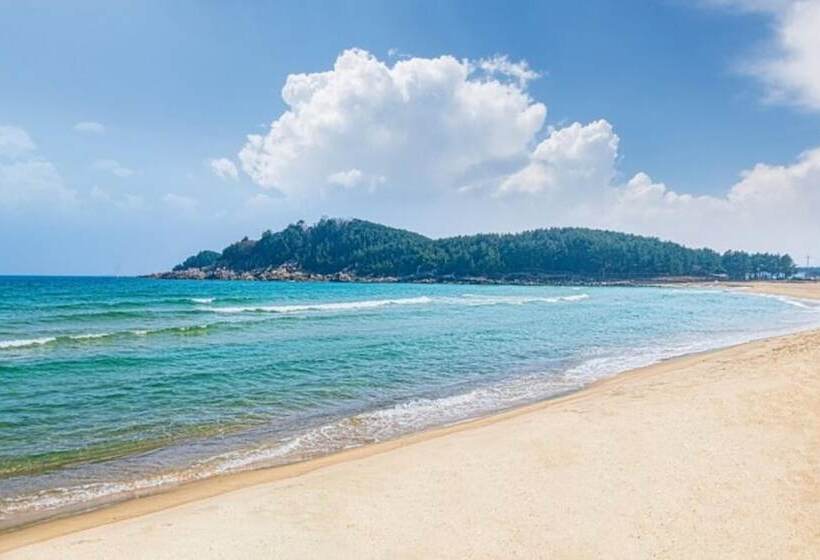 Goseong Jajackdo Aroma Pension