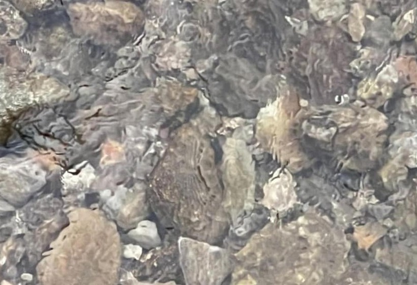 Hongcheon Eorinwangja Pension