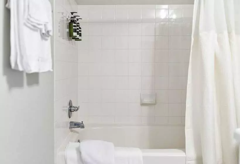 Kasa Wellington South Florida