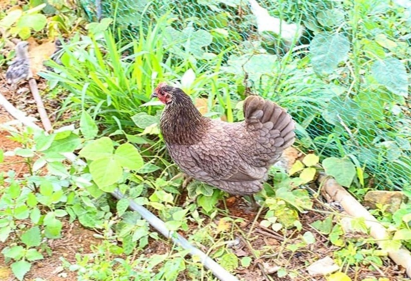 Namhae Baramkkot Pension