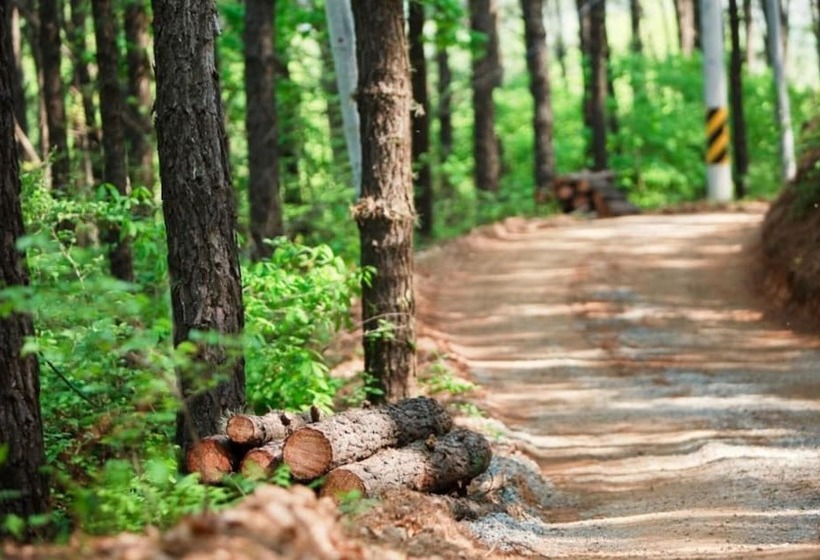 膳宿费 Jecheon De Tours Camp Club