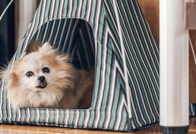 膳宿费 Jecheon De Tours Camp Club