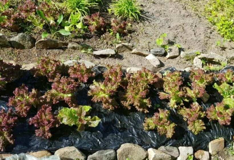 Pyeongchang Sugaseong Pension