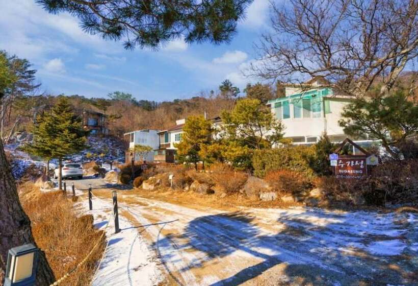 Pyeongchang Sugaseong Pension