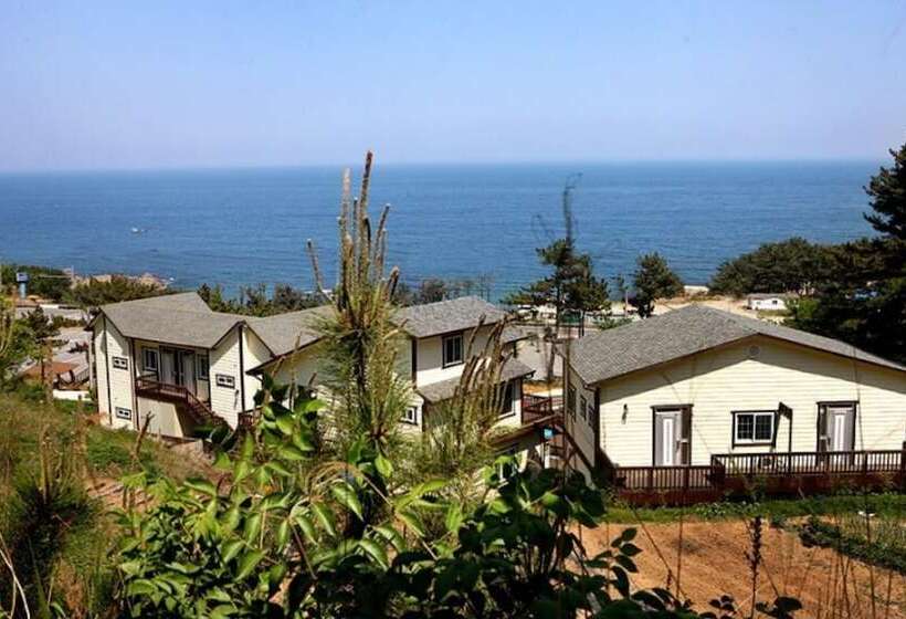 Yeongdeok Hill Pine Pension