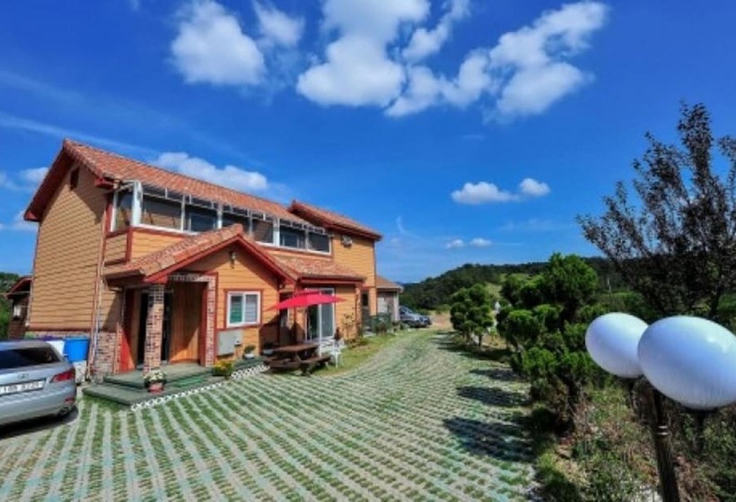 Yongin Pine House Pension