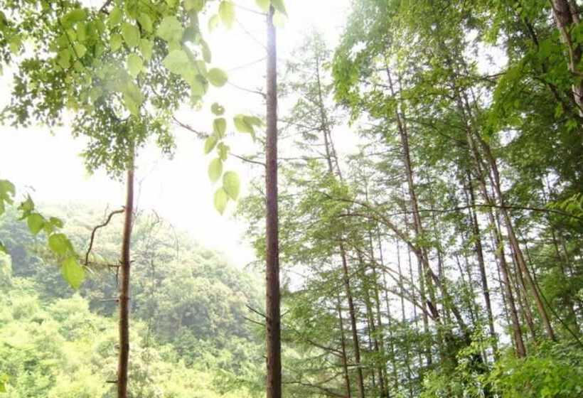 Gapyeong Sugar Pension