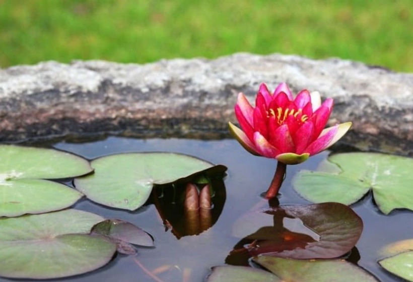 Gyeongju Bomunnamchon Pension