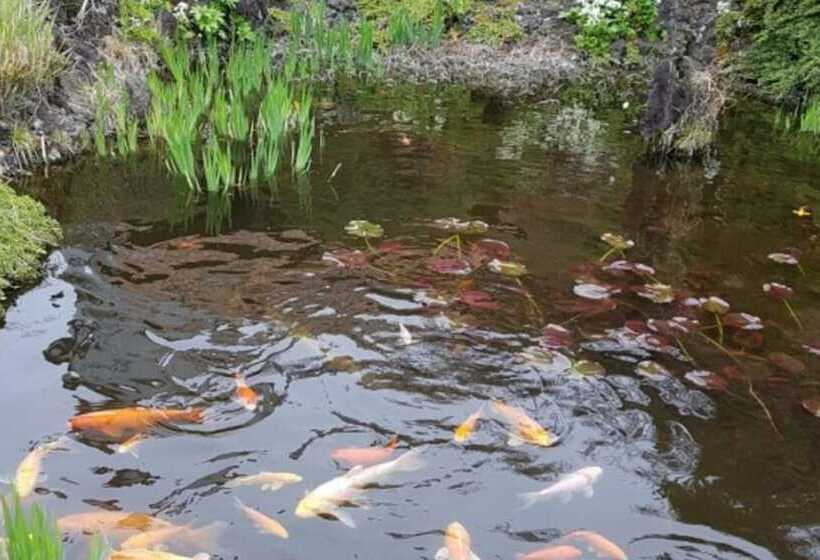 Namhae Seokbujak Jeongwon Pension