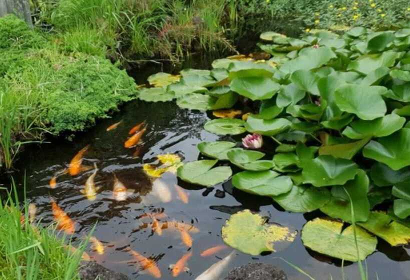 Namhae Seokbujak Jeongwon Pension