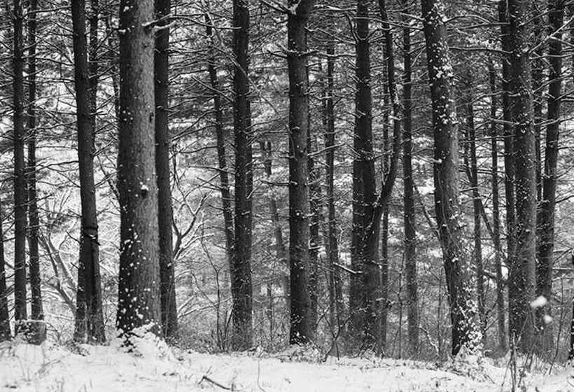 Namyangju Supsogui Cabin Pension