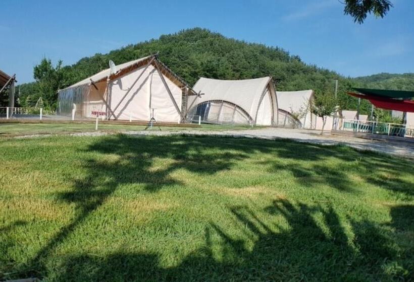 بنسيون Buye Glamping Pan