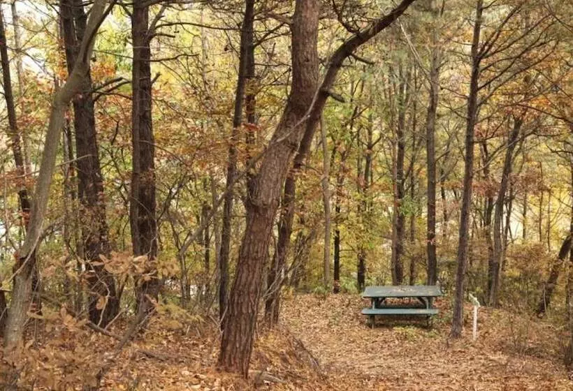 ペンション Buye Glamping Pan