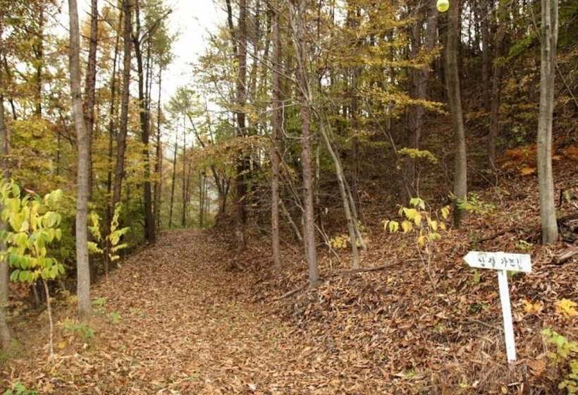 بنسيون Buye Glamping Pan