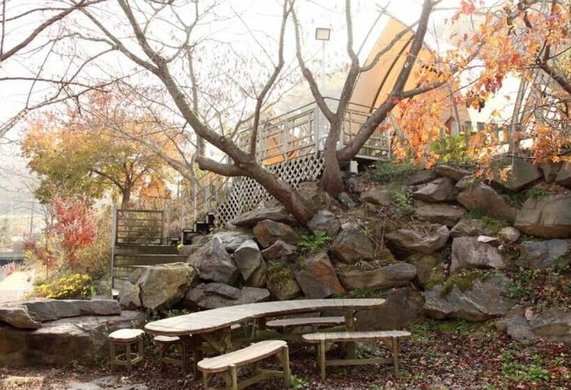 بنسيون Buye Glamping Pan