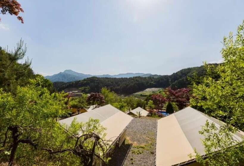 פנסיון Gapyeong Captain Caravan And Glamping