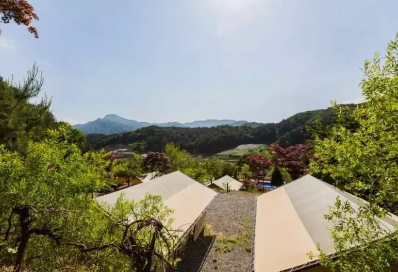 ペンション Gapyeong Captain Caravan And Glamping