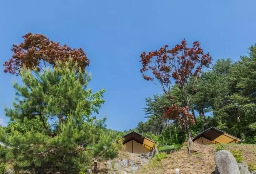 ペンション Gapyeong Captain Caravan And Glamping