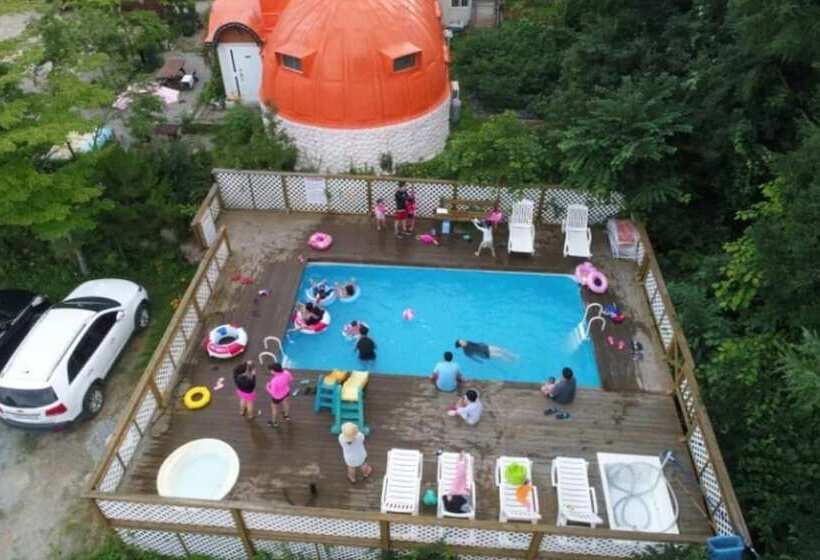 Pyeongchang Propose Pension