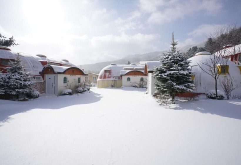 Pyeongchang Propose Pension