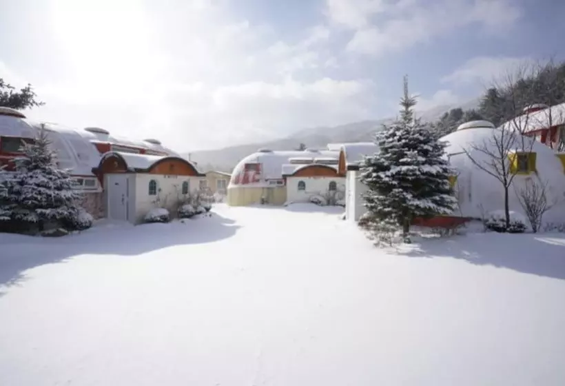 Pyeongchang Propose Pension