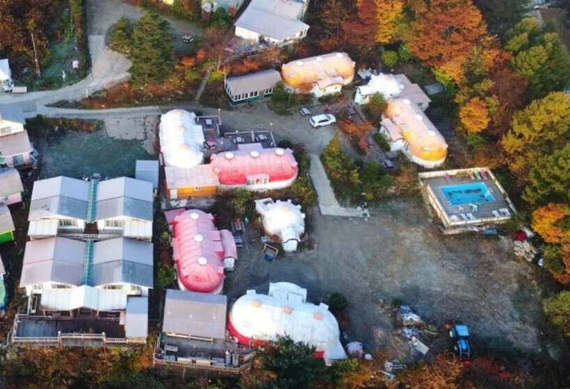 Pyeongchang Propose Pension