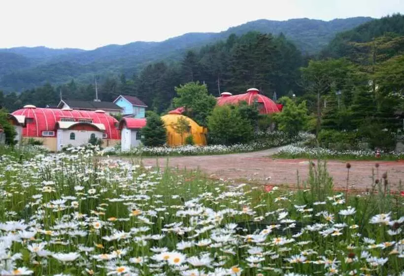 Pyeongchang Propose Pension