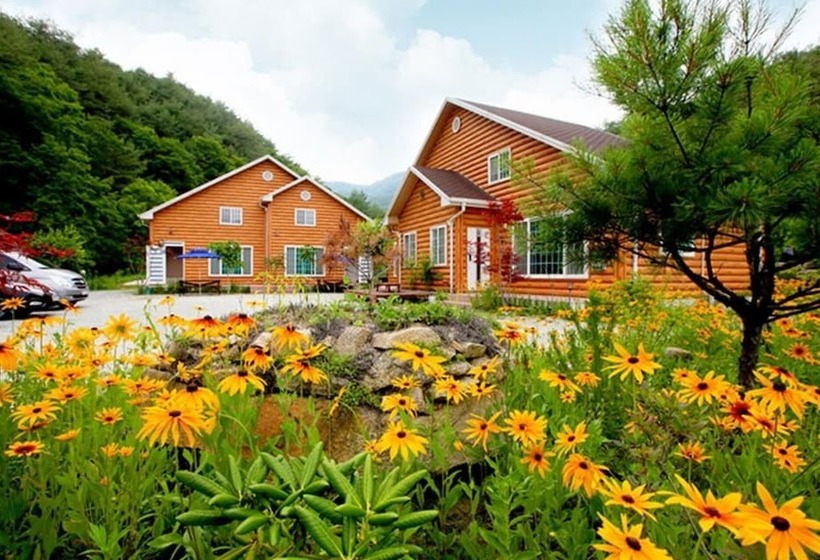 Yanggu Gohyangui Bom Pension