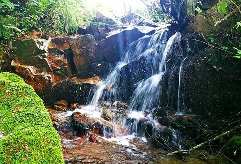Yanggu Gohyangui Bom Pension