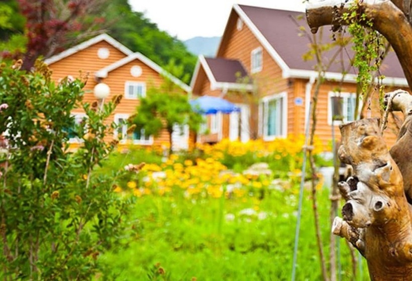 Yanggu Gohyangui Bom Pension