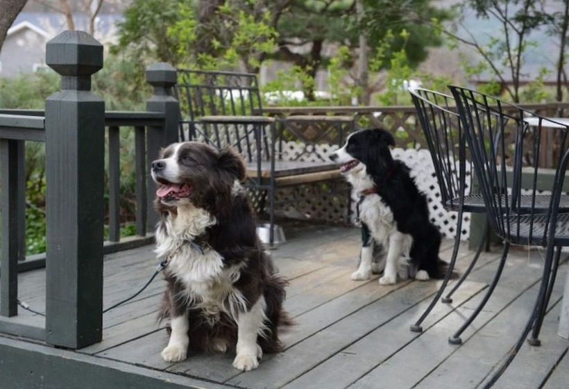 Yangpyeong Gewolga Pension