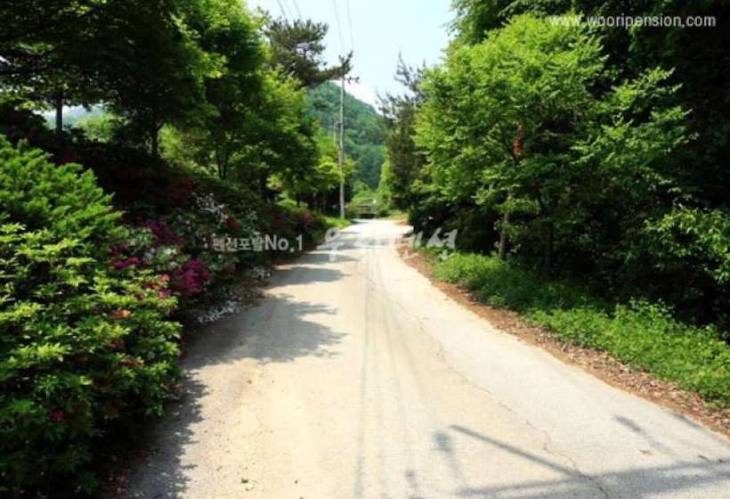 Yangpyeong Pension Forest