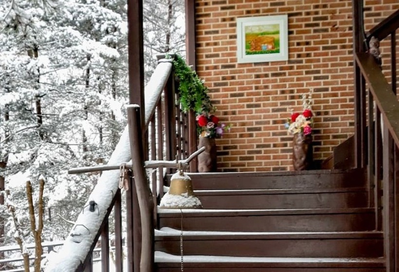 Yangpyeong Pension Forest