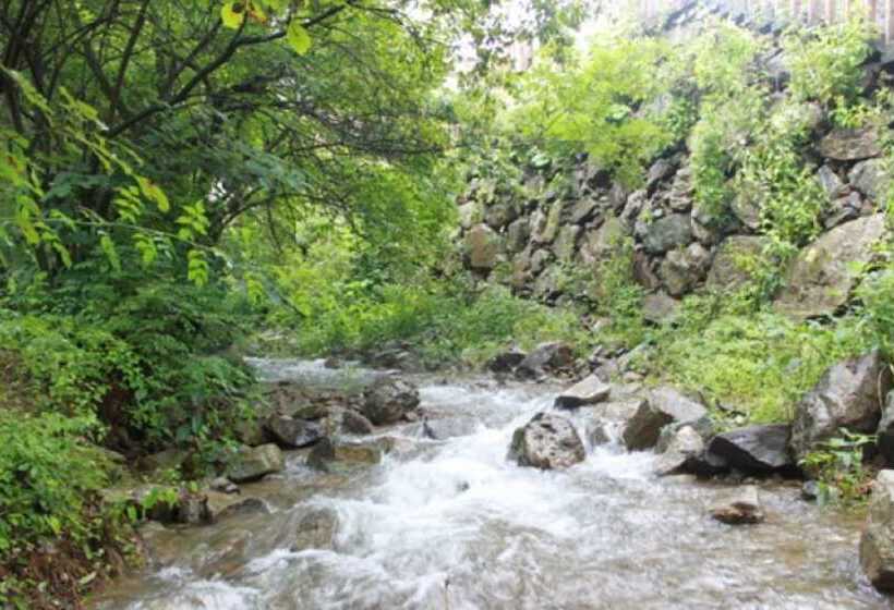 Yangpyeong Pension Forest