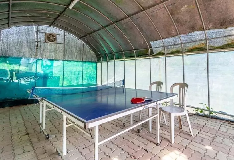 Yangpyeong Santa Pension