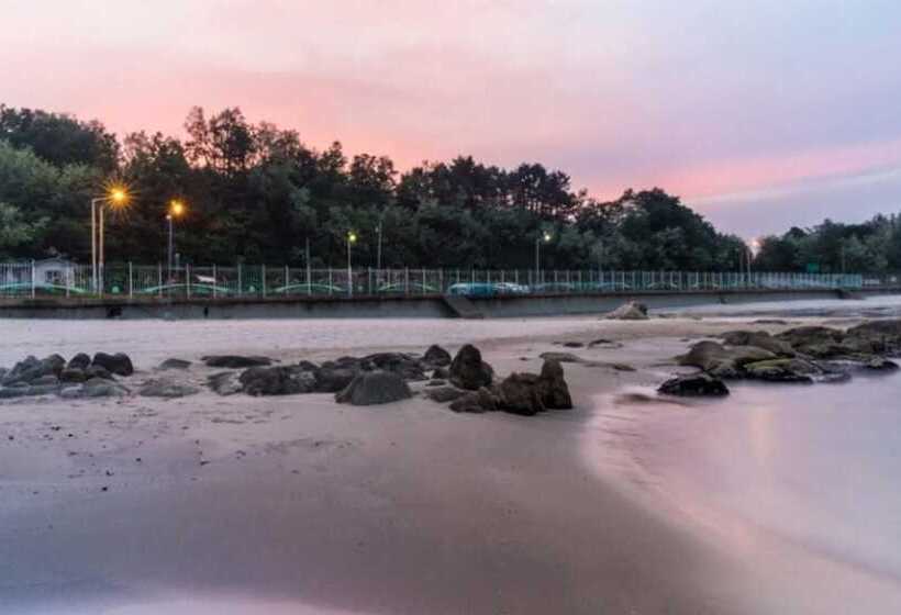 Goseong Galmaegi Naneunkkum Pension