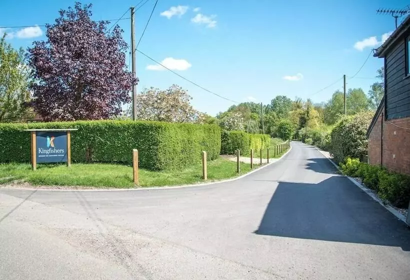 Laurel Lodge Kingfishers