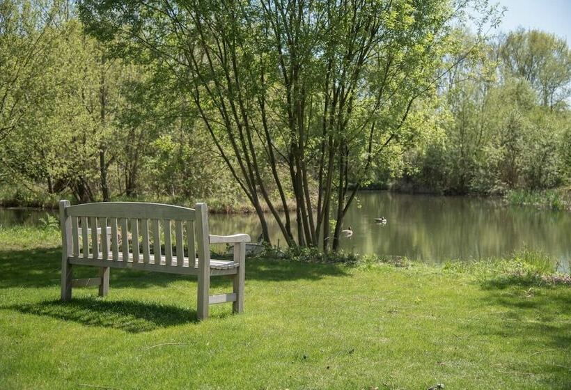 Laurel Lodge Kingfishers