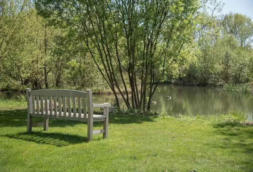 Laurel Lodge Kingfishers