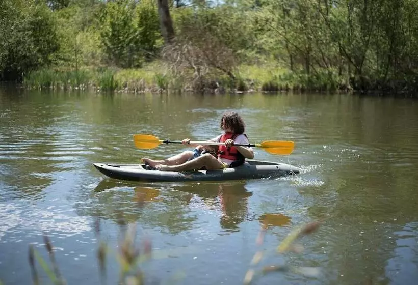 Laurel Lodge Kingfishers