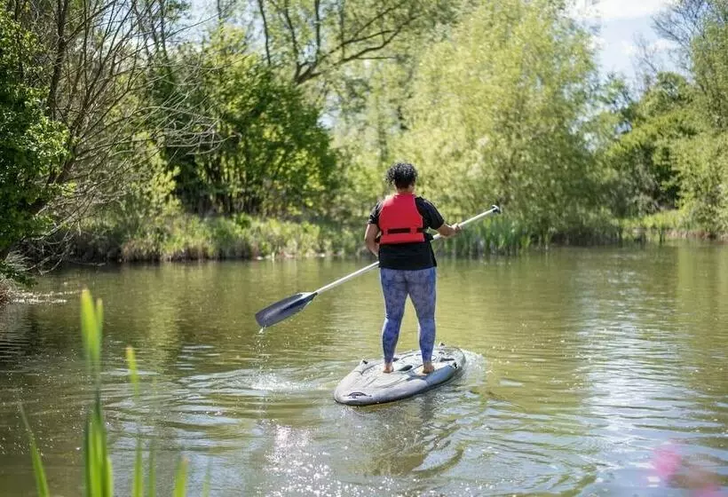 Laurel Lodge Kingfishers