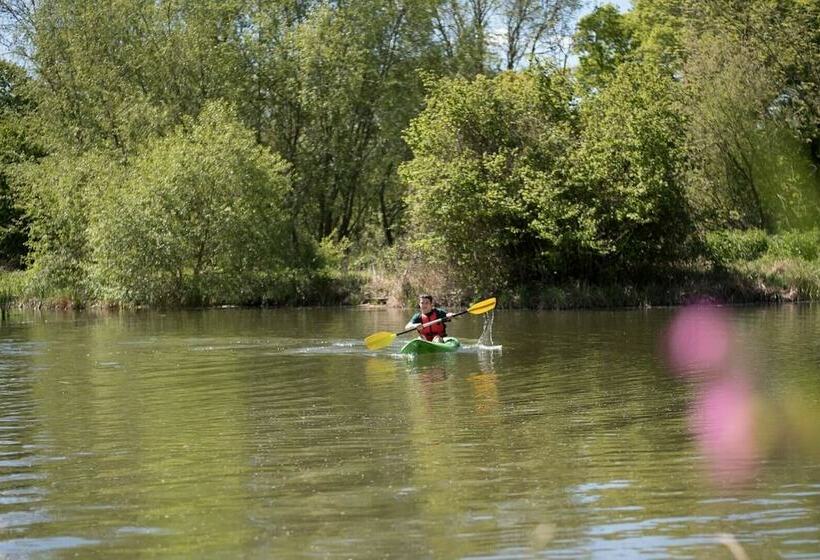 Laurel Lodge Kingfishers