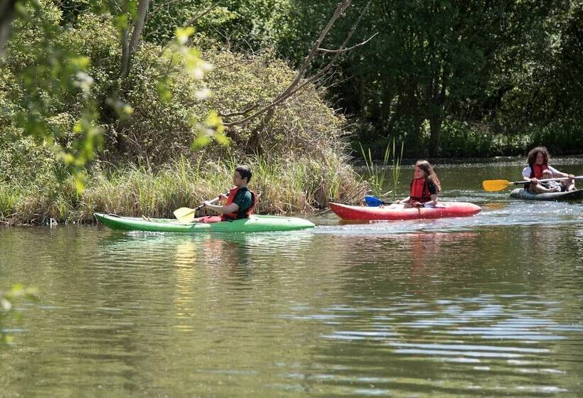 Laurel Lodge Kingfishers