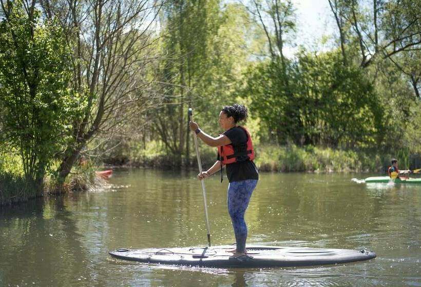 Laurel Lodge Kingfishers