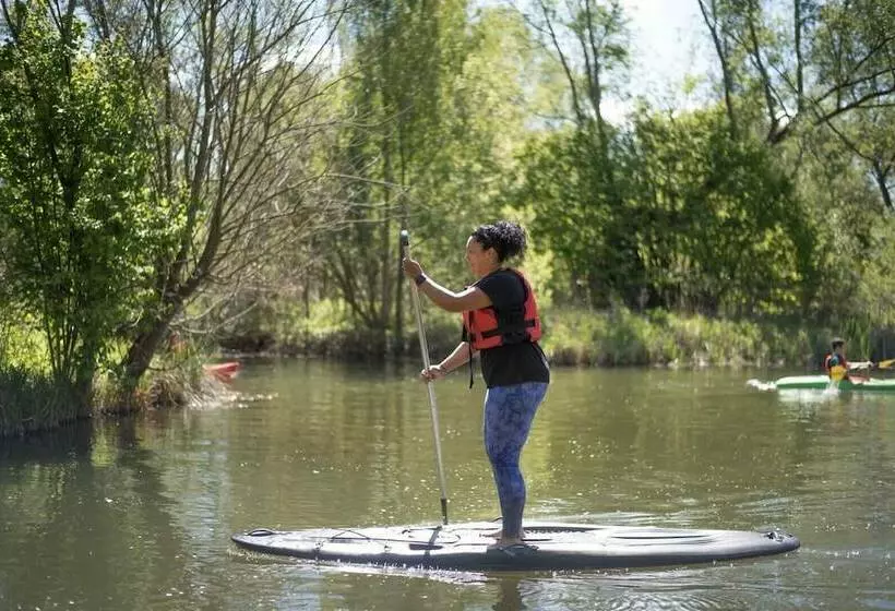 Laurel Lodge Kingfishers