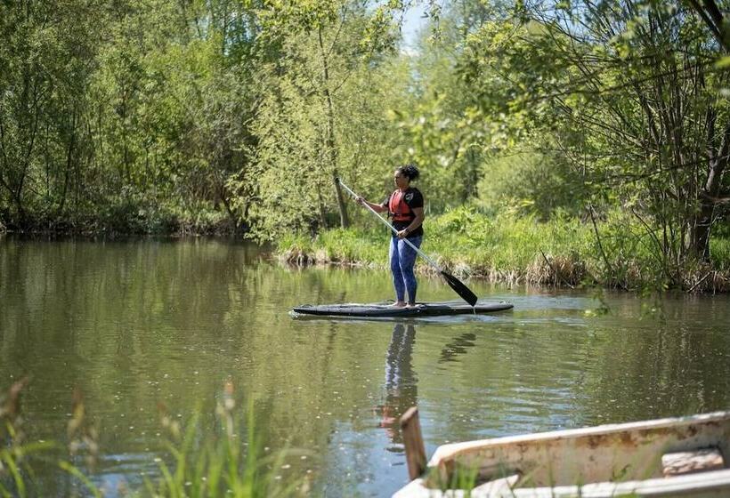 Laurel Lodge Kingfishers