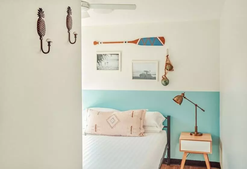 هاستل The Surf House