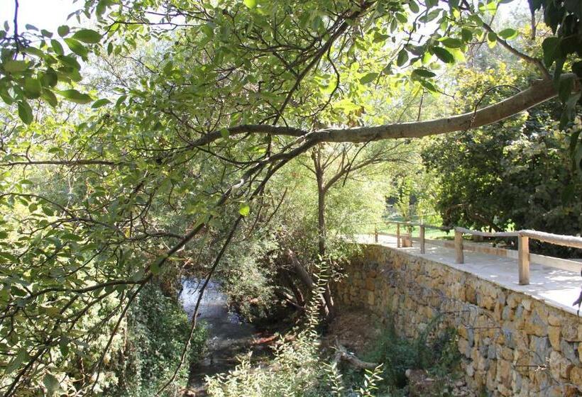 تختخواب و صبحانه Domaine De Chouchene